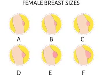 small breasts